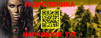 хмурый Новодвинск