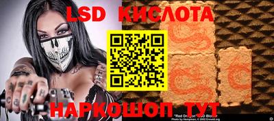 ECSTASY Новозыбков