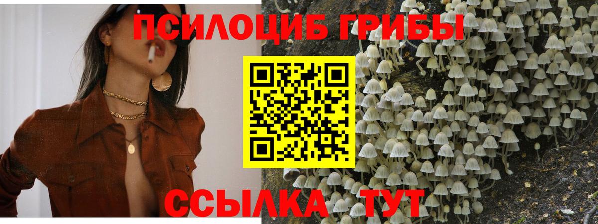 Туапсе  Галлюциногенные грибы мицелий  Вход с VPN 